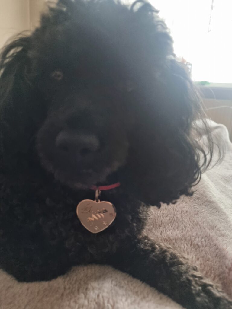 Obrazek #1 z Beata Radomska