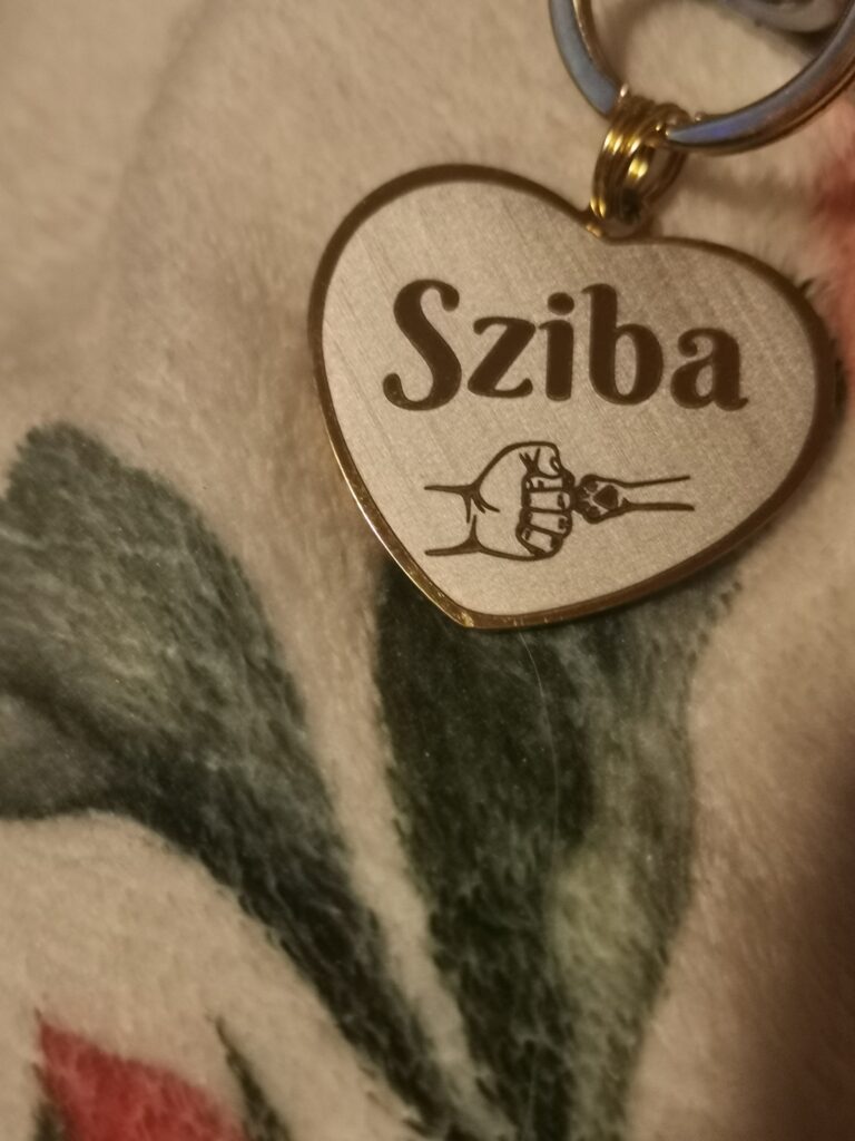 Obrazek #1 z Barbara Brewka.