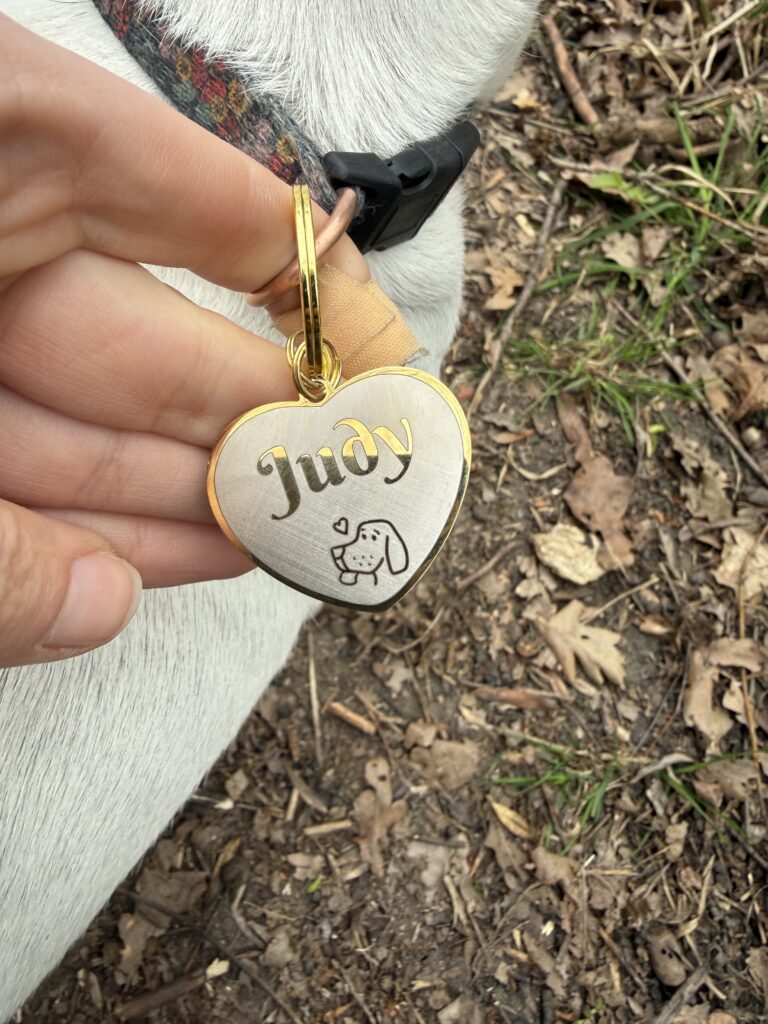 Obrazek #1 z Agnieszka