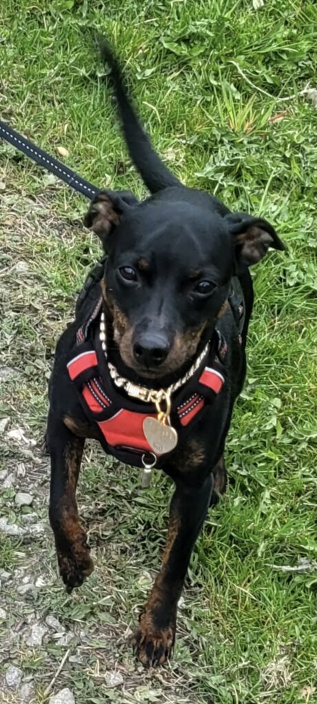 Obrazek #2 z Anna Nowak