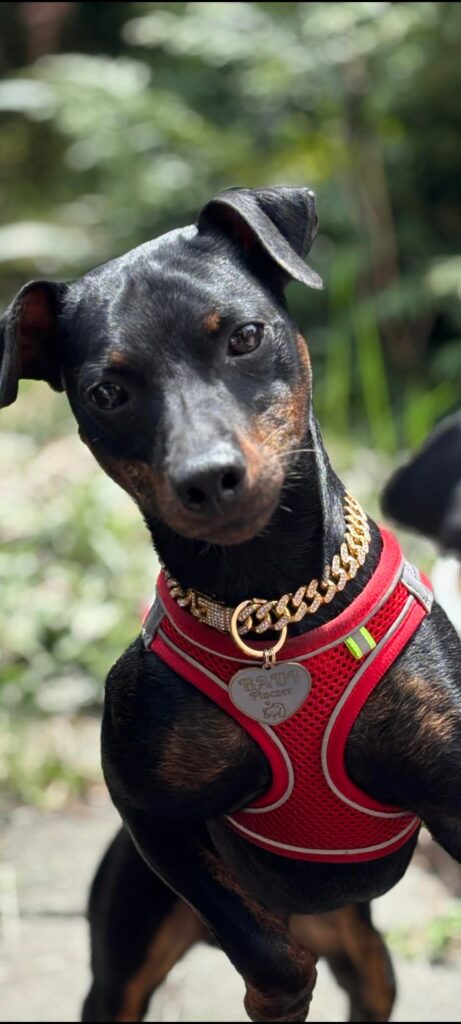 Obrazek #1 z Anna Nowak